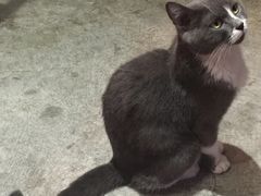 -MIKAKU(万达广场上海宝山店)