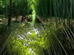 -同里国家湿地公园