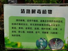 -华南国家植物园-售票处