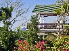 -王借岗森林公园