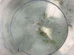 -大食代美食广场(上海中心店)