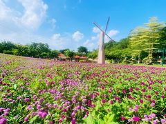 -广州莲花山旅游区