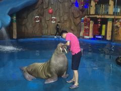 -烟台海昌鲸鲨海洋公园