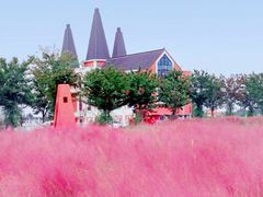 -鹅湖玫瑰文化园