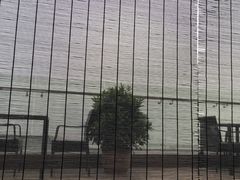 -梧桐餐厅(泉城路店)