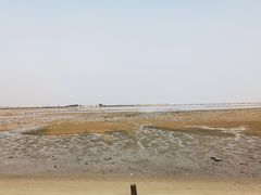 -北海金海湾红树林生态旅游区