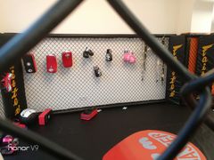 -体育科代表搏击散打体能训练馆(陶然亭店)