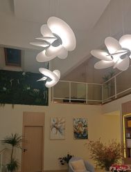 -百秀名媛纹绣美学护肤中心