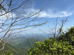 -天目山大树王景区