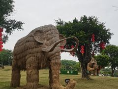 -深圳野生动物园
