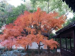 -惠山古镇·寄畅园