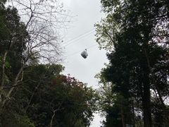 -广州市白云山风景名胜区