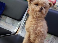 -宠颐生中康贝怡动物医院