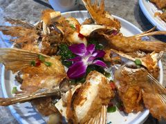 -淘米捞·米汤脆鲩鱼火锅(福田皇岗店)