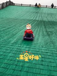 -宝燕乐园(闵行旗舰店)