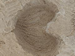-玫瑰海岸文化旅游度假区