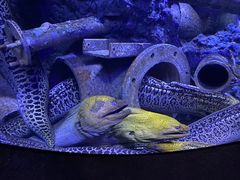 -成都浩海立方海洋公园