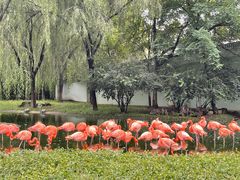 -石家庄市动物园