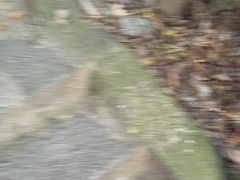 -七仙岭温泉国家森林公园