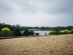 -东郊湿地公园