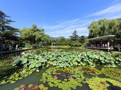 -国家植物园南园