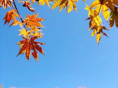 -丹东天桥沟景区