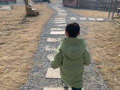 -菊园百果园