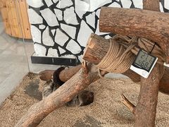 -海合安武汉极地海洋公园