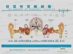 -自然之声助听器·呼吸机(和平店)