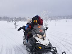 -凤凰山国家森林公园