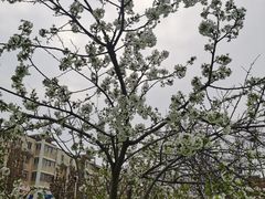 -爱彼格林珑悦幼儿园