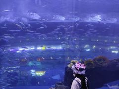 -成都浩海立方海洋公园