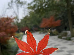 -灵隐飞来峰景区
