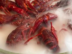 -红盔甲·小龙虾(人民广场店)