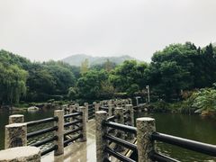 -白马涧龙池景区