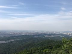 -紫金山山顶公园
