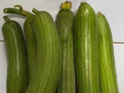 -姜美堂·蒸姜除湿の纤体美颜馆