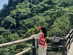 -少华山国家森林公园