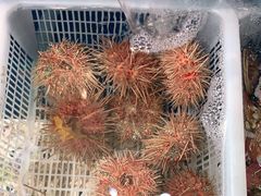 -小船渔村•大连菜•大连焖鱼(明泽街店)