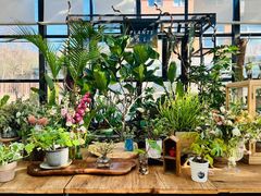 -北马山庄植趣咖啡