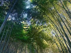 -敬亭山风景名胜区