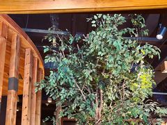 -小城粥道·海胆鲜虾粥(解放广场店)