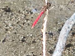 -白水寺森林公园
