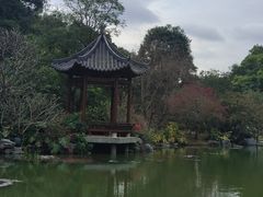 -云溪植物园