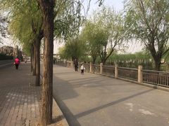 -东方巨龟苑景区