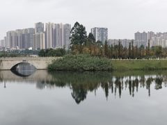 -眉山湿地公园(东坡区)