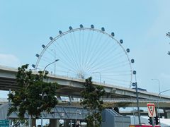 -新加坡摩天观景轮