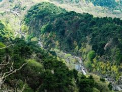 -泰山风景名胜区