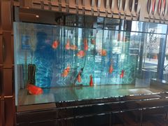 -北京西单美爵酒店-融轩中餐厅