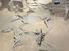 -洛阳周王城天子驾六博物馆